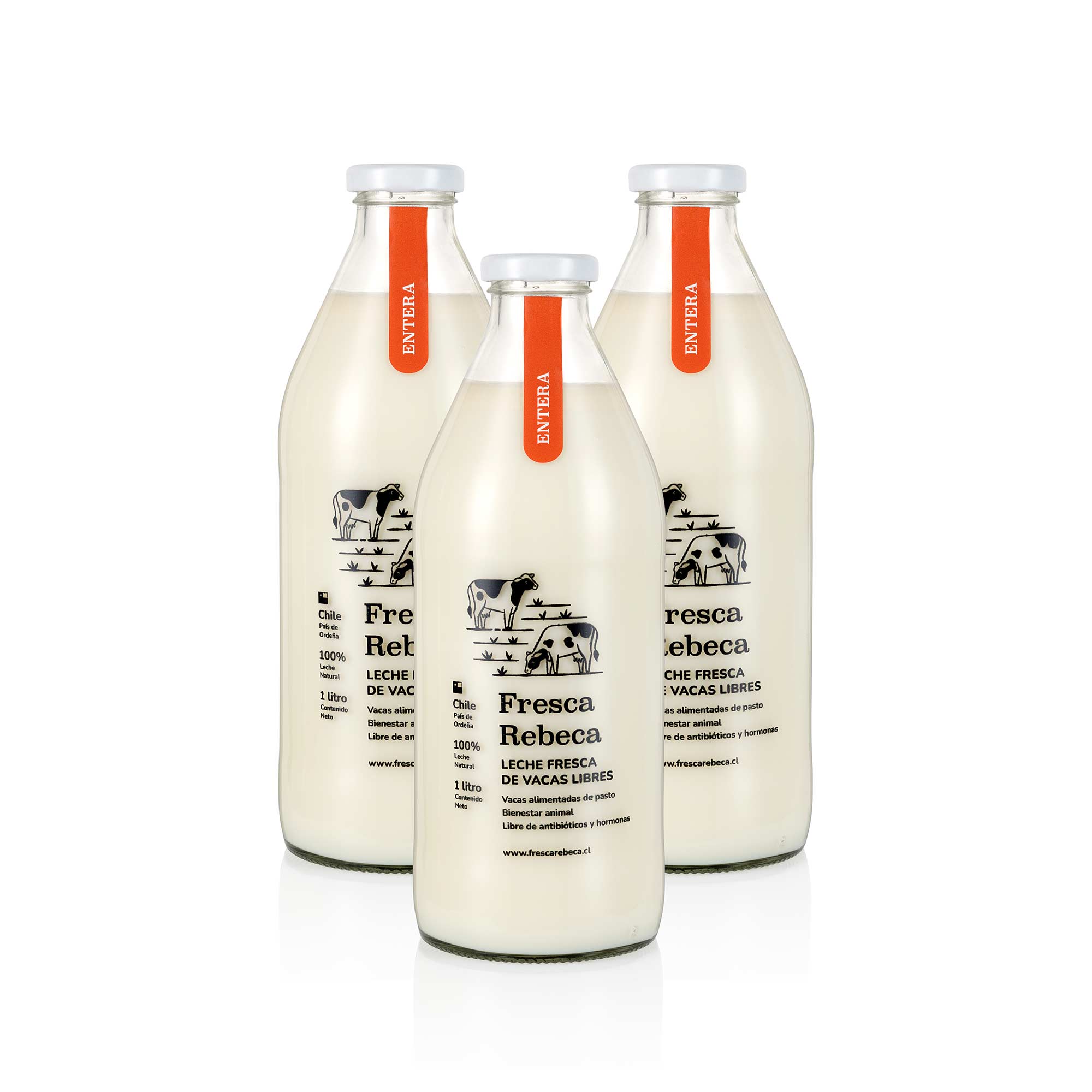 Fresca Botella Pack Leche Fresca Entera 3 litros – Fresca Rebeca